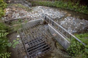A stormwater diversion structure which has been given a notice for repairs along a section of the Perrinville Creek north of Stamm Overlook Park that flows into Browns Bay in Edmonds, Washington on Thursday, July 18, 2024. (Annie Barker / The Herald)