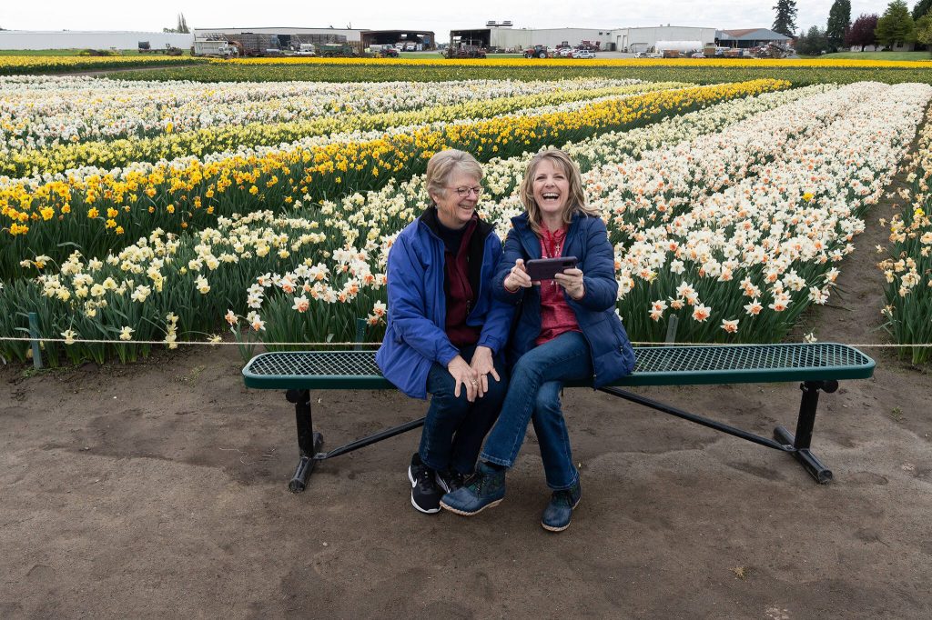 Lauri Ledbeter, right, sits with Genie Hallman at Roozengaarde outside of Mount Vernon on Thursday during the Skagit Valley Tulip Festival. (Will Geschke / The Herald)