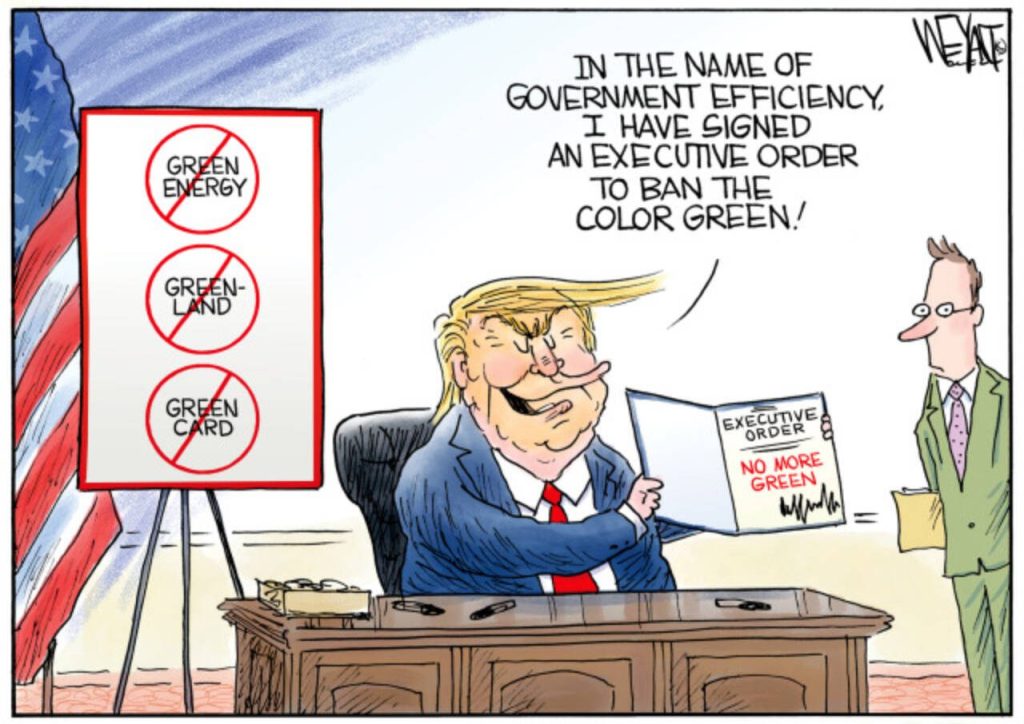 toon