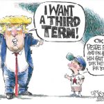 toon