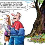 toon