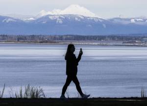 A person walks along a trail at Harborview Park with a snow covered Mt. Baker in the background on Friday, March 14, 2025 in Everett, Washington. (Olivia Vanni / The Herald)