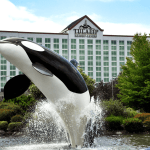 The Tulalip Resort Casino. (Sue Misao / The Herald)