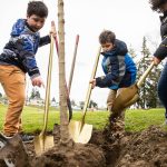 Hawthorne Elementary students Kayden Smith, left, John Handall and Jace Debolt use their golden shovels to help plant a tree at Wiggums Hollow Park  in celebration of Washington’s Arbor Day on Wednesday, April 13, 2022 in Everett. (Olivia Vanni / The Herald)