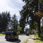 Cars drive past a newly installed traffic camera along 100th Avenue West on Monday, April 14, 2025 in Edmonds, Washington. (Olivia Vanni / The Herald)