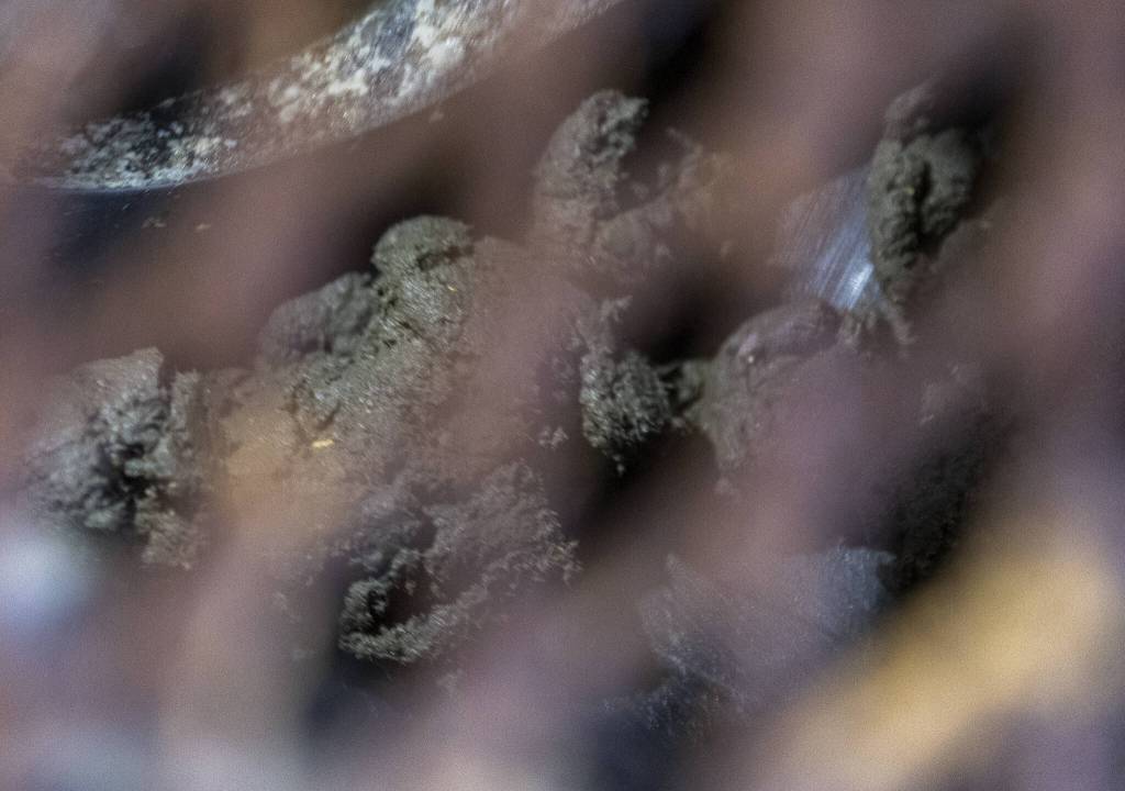 Cake material is pushed through a conveyer onto the next process for gasification at the Edmonds Wastewater Treatment Plant on Thursday, April 17, 2025 in Edmonds, Washington. (Olivia Vanni / The Herald)