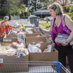 Amanda Farrell, a volunteer of three years, puts cartons of eggs into boxes that will be given to clients at the Faith Lutheran Food Bank on Friday, April 25, 2025, in Everett, Washington. (Olivia Vanni / The Herald)