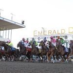Horses dash from the starting gate in the 2024 Longacres Mile at Emerald Downs. This year's Mile is scheduled for Aug. 17. (Photo courtesy of Doug Parry)