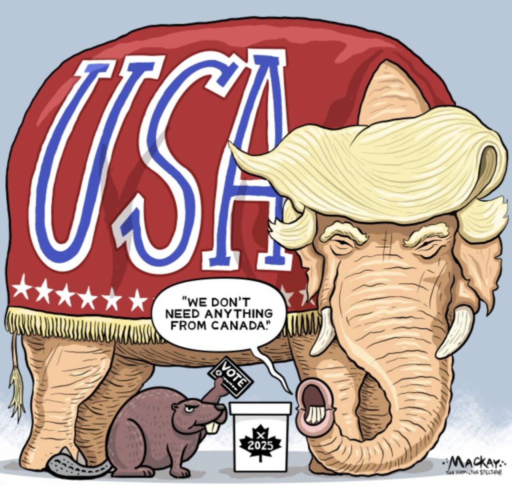 Editorial Cartoon by Graeme MacKay, The Hamilton Spectator – Saturday April 26, 2025

Canada's upcoming election becomes a historic moment amid Trump's global disruptions, challenging its sovereignty and international role.

Canada's Historic Moment Amidst Trump's Global Disruptions

In the annals of modern history, few leaders have managed to cast as wide and as contentious a shadow as Donald Trump. His second term as President of the United States has proven to be an era of unprecedented upheaval, marked by a series of aggressive and unpredictable maneuvers that have sent shockwaves through global political and economic systems. As Canada stands on the brink of a pivotal federal election, Trump's influence looms large, creating a historic moment that could redefine the nation's role on the world stage.

From the outset, Trump's presidency has been a whirlwind of controversy and disruption. His recent threats to annex Canada and impose punitive tariffs have not only strained bilateral relations but have also thrust Canadian politics into the international spotlight. Mark Carney, the Liberal leader and a former central banker, finds himself in a unique position. His expertise and calm demeanour in the face of Trump's provocations have resonated with voters seeking stability in uncertain times. Inadvertently, Trump has become a significant factor in Canada's electoral calculus, making this election one of the most consequential in recent memory.

The Guardian: Canada election is Carney’s to lose in contest turned on its head by Trump  https://www.theguardian.com/world/2025/apr/24/canada-election-mark-carney-pierre-poilievre

The impact of Trump's policies is not confined to North America. Across the globe, allies and partners are reassessing their relationships with the United States. The European Union, once a steadfast ally, now contemplates a future where it must forge stronger ties internally and with other global powers to counterbalance an unpredictable U.S