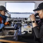 Dany Burgess, left, and Sandy Weakland, right, carefully pull out benthic organisms from sediment samples on Thursday, May 1, 2025 in Everett, Washington. (Olivia Vanni / The Herald)