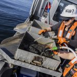 Sandy Weakland, left, and Emma LeValley, right, use water to wash away mud to leave larger pieces of debris and benthic organisms on Thursday, May 1, 2025, in Everett, Washington. (Olivia Vanni / The Herald)