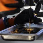 Danny Burgess uses forceps to pick out benthic organisms from a sediment sample on Thursday, May 1, 2025, in Everett, Washington. (Olivia Vanni / The Herald)