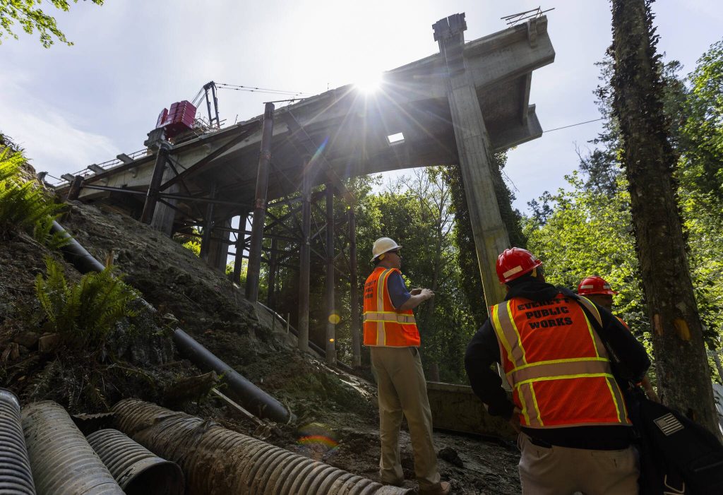 Tom Hood looks across the ravine from below the Everett side of the Edgewater Bridge on Friday, May 9, 2025 in Everett, Washington. (Olivia Vanni / The Herald)