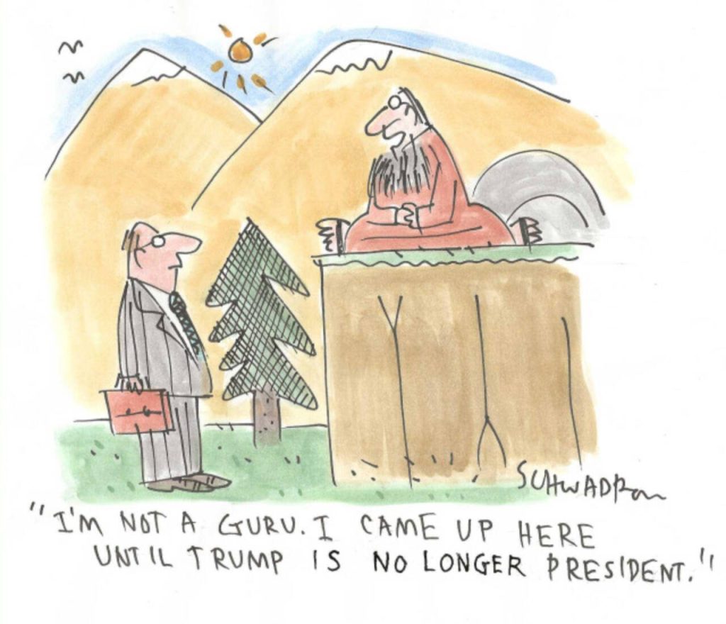 toon