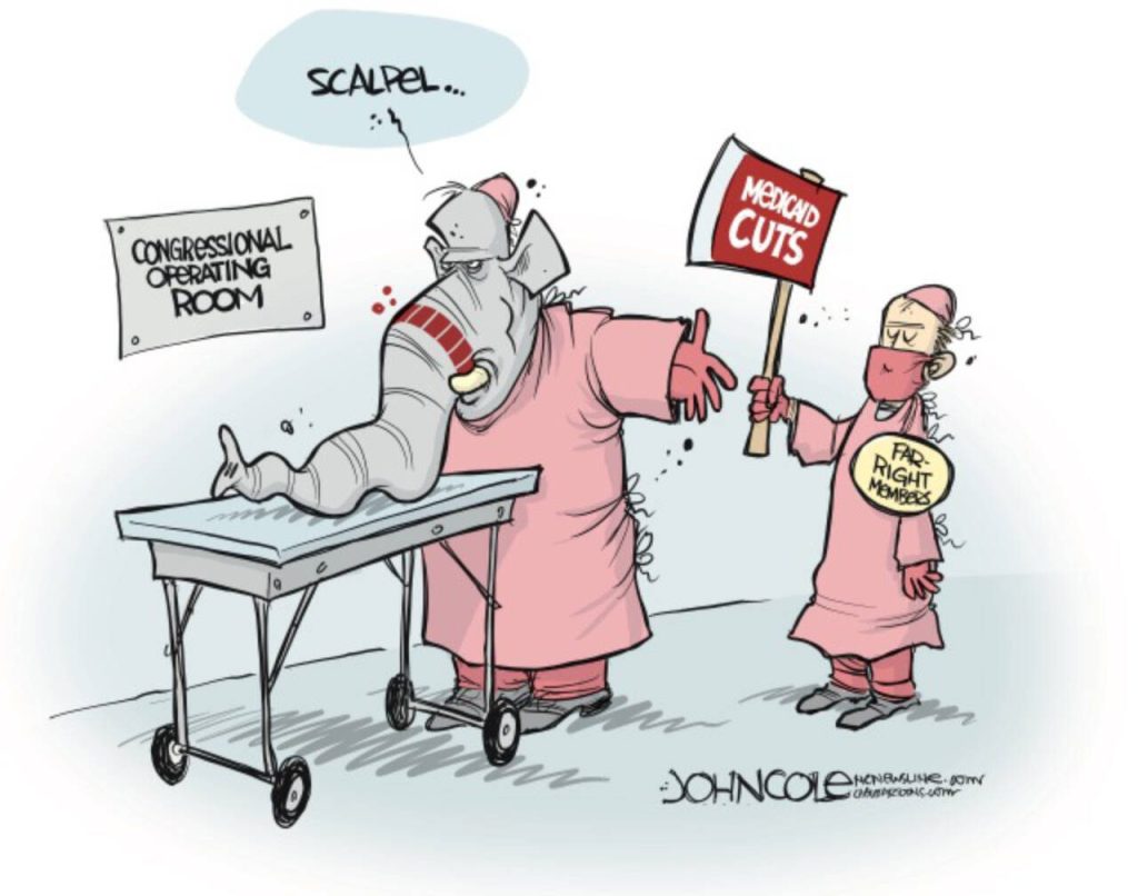 toon