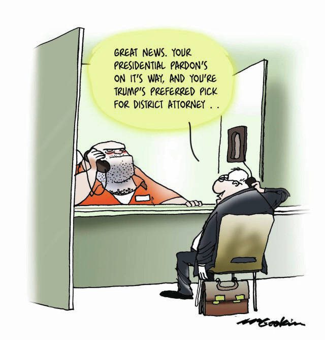 toon
