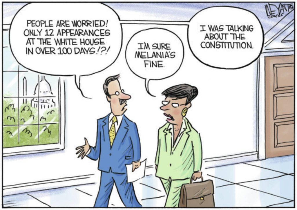 toon