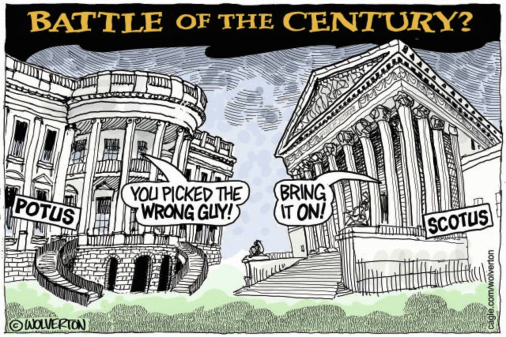 toon