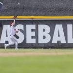 A Snohomish player makes a catch in the outfield during the opening round 3A state game against Bellevue on Tuesday, May 20, 2025 in Snohomish, Washington. (Olivia Vanni / The Herald)