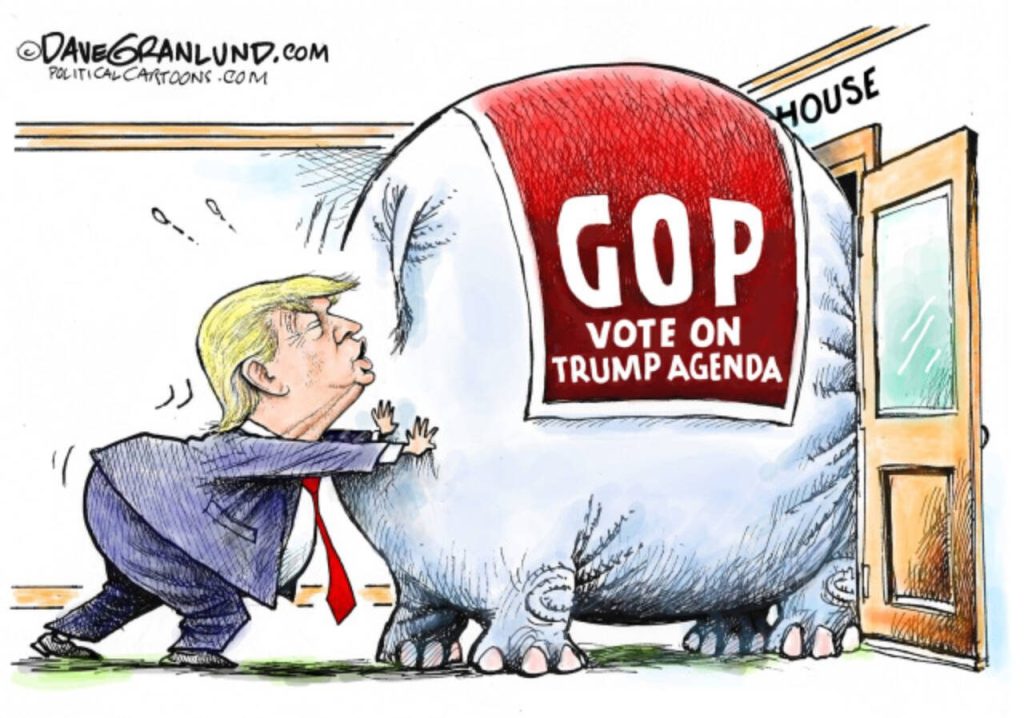 toon