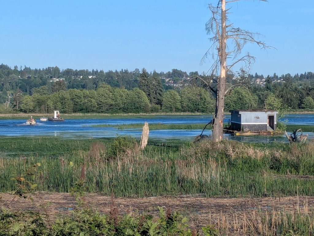 (Washington Department of Fish and Wildlife)