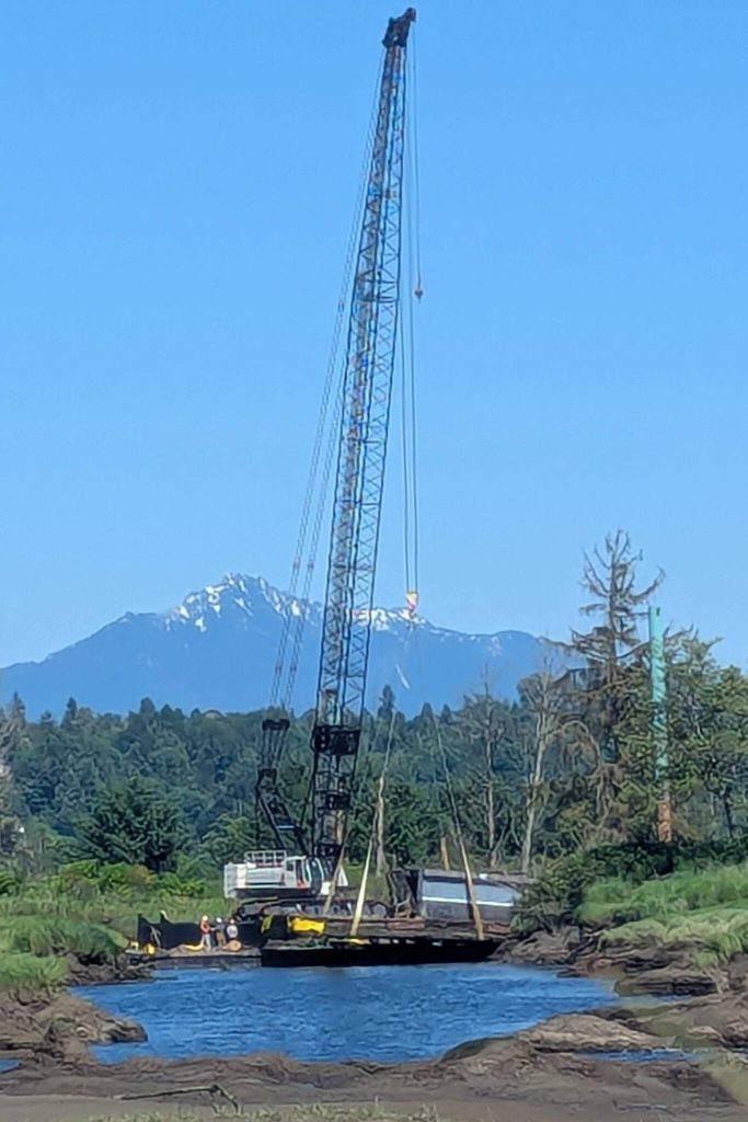 (Washington Department of Fish and Wildlife)