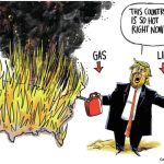 toon