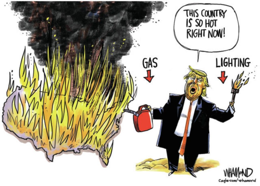 toon
