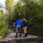 People look in the water at the North Creek Wetlands on Wednesday, June 4, 2025 in Bothell, Washington. (Olivia Vanni / The Herald)