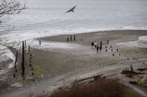 People walk during low tide at Picnic Point Park on Sunday, March 3, 2024 in Edmonds, Washington. (Annie Barker / The Herald)