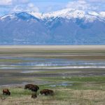 Antelope Island, Utah. jhl0019 // Shutterstock
