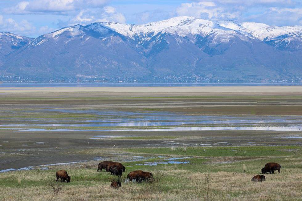 Antelope Island, Utah. jhl0019 // Shutterstock
