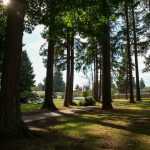 The pathway at Matt Hirvela Bicentennial Park is completed Sunday, Oct. 8, 2023, in Mountlake Terrace, Washington. (Ryan Berry / The Herald)