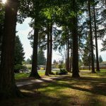 The pathway at Matt Hirvela Bicentennial Park is completed Sunday, Oct. 8, 2023, in Mountlake Terrace, Washington. (Ryan Berry / The Herald)