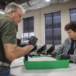 Snohomish County Elections employees Frank Monkman, left, and Tina Ruybal, right, place sorted ballots in a green container on Tuesday, Oct. 29, 2024 in Everett , Washington. (Olivia Vanni / The Herald)
