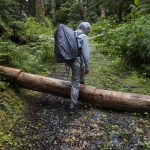 Kathy Johnson, forest practices chair for Pilchuck Audubon Society, walks over a tree that has been unsuccessfully chainsawed along a CERCLA road in the Mt. Baker-Snoqualmie National Forest on Thursday, July 10, 2025, in Granite Falls, Washington. (Olivia Vanni / The Herald)
