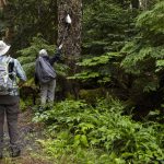 Kathy Johnson and Doug Cooper inspect a piece of paper hanging from a tree along a CERCLA road on Thursday, July 10, 2025 in Granite Falls, Washington. (Olivia Vanni / The Herald)