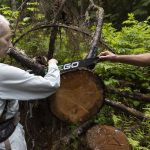 Kathy Johnson and Doug Cooper pick up a chainsaw blade left on top of a tree on Thursday, July 10, 2025 in Granite Falls, Washington. (Olivia Vanni / The Herald)