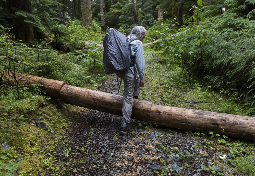 PHOTOS BY Olivia Vanni / The Herald
Kathy Johnson walks over a tree that has been unsuccessfully chainsawed along a CERCLA road in the Mt. Baker-Snoqualmie National Forest on Thursday in Granite Falls.