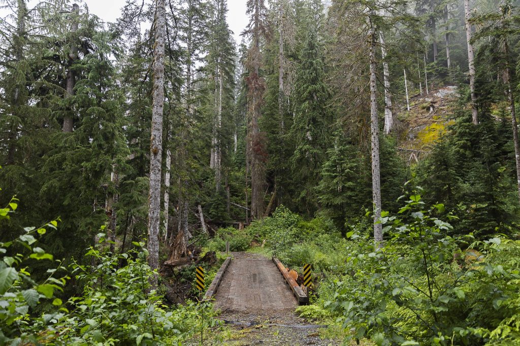 A bridge allows for crossing over a season steam along a CERCLA road on Thursday in Granite Falls. (Olivia Vanni / The Herald)