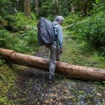 Kathy Johnson walks over a tree that has been unsuccessfully chainsawed along a CERCLA road n the Mt. Baker-Snoqualmie National Forest on Thursday, July 10, 2025 in Granite Falls, Washington. (Olivia Vanni / The Herald)