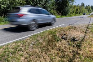 A car drives past a culvert blocked by grass along 123rd Avenue NE on Wednesday, July 16, 2025 in Lake Stevens, Washington. (Olivia Vanni / The Herald)