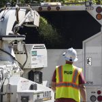 Matt Watts with Snohomish County PUD throws a branch through a woodchipper on Thursday, July 24, 2025 in Stanwood, Washington. (Olivia Vanni / The Herald)