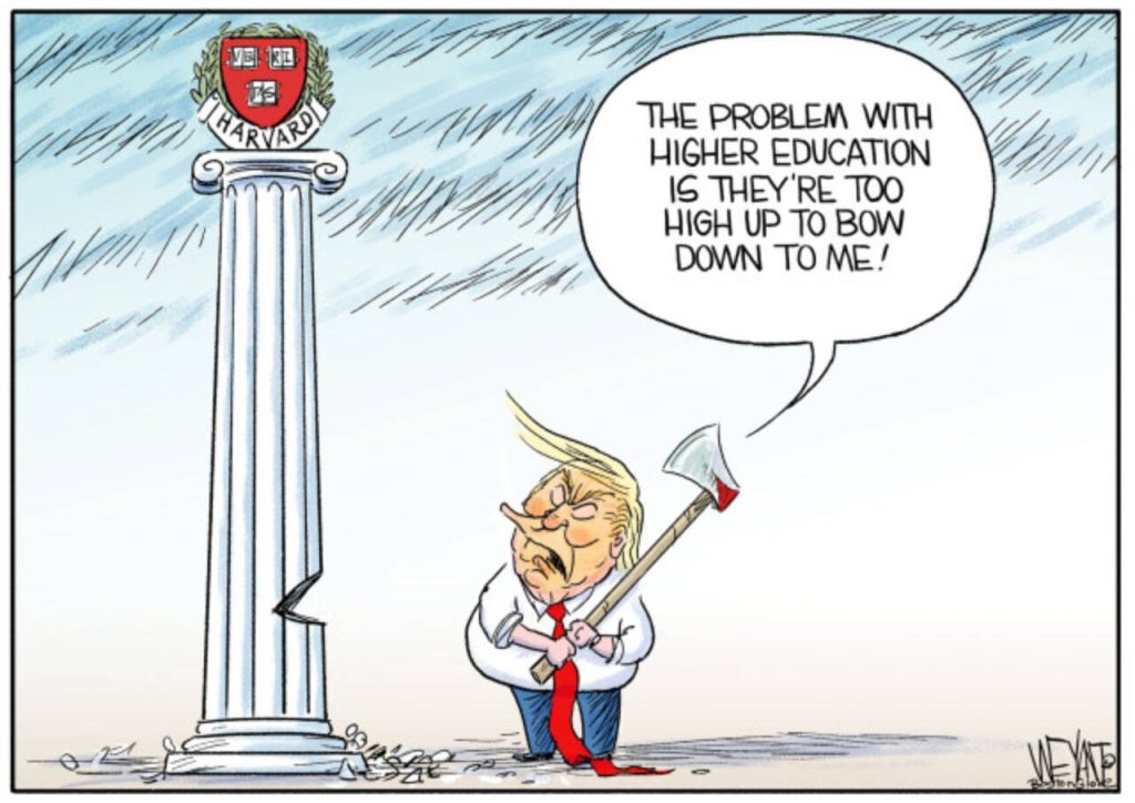toon