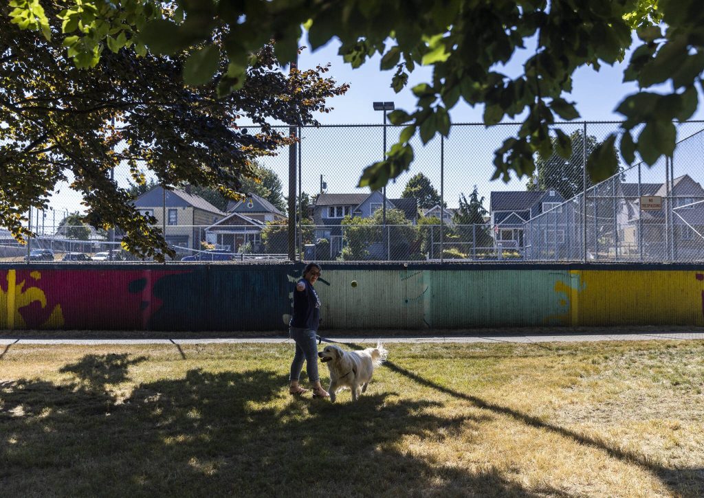 Erica Weir throws a ball for her dog Hugo in the new Clark Park Off Leash Dog Area on Tuesday, July 29, 2025 in Everett, Washington. (Olivia Vanni / The Herald)