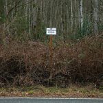 A no trespassing sign threatens prosecution at the site of Mother Nature’s Window Park along 55th Drive NE on Friday, Dec. 30, 2022, in Marysville, Washington. The patch of woods is overgrown, but there are plans to open the land back to the public after it is renovated. (Ryan Berry / The Herald)