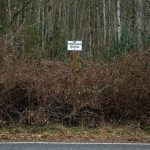 A no trespassing sign threatens prosecution at the site of Mother Nature’s Window Park along 55th Drive NE on Friday, Dec. 30, 2022, in Marysville, Washington. The patch of woods is overgrown, but there are plans to open the land back to the public after it is renovated. (Ryan Berry / The Herald)