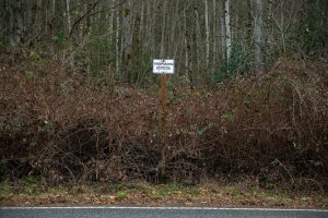 A no trespassing sign threatens prosecution at the site of Mother Nature’s Window Park along 55th Drive NE on Friday, Dec. 30, 2022, in Marysville, Washington. The patch of woods is overgrown, but there are plans to open the land back to the public after it is renovated. (Ryan Berry / The Herald)