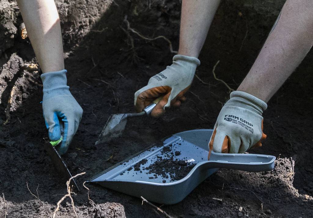 August Waters, left, and Rey Wall, right, pick away at dirt in a section of land in Japanese Gulch on Wednesday, July 23, 2025 in Everett, Washington. (Olivia Vanni / The Herald)