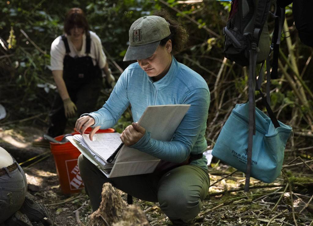 Alex Vigil looks though a site log referred to as the bible where all photos, artifacts and anything from the Japanese Gulch site is documented and logged on Wednesday, July 23, 2025 in Everett, Washington. (Olivia Vanni / The Herald)